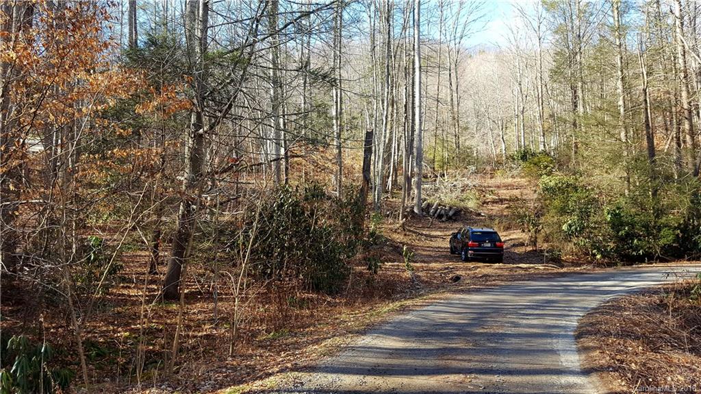 9 Boxturtle Road Candler, NC 28715 - Photo 10 of 13 Gallery Image 10