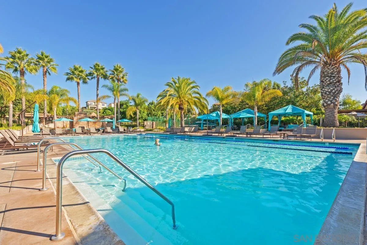 3741 Bergen Peak Place Carlsbad, CA 92010 - Photo 33 of 39 a view of a swimming pool with a lawn chairs under palm trees