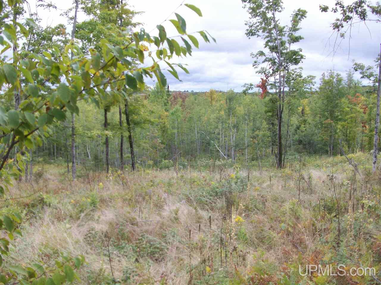 Tbd Fordville Road Foster City, MI 49807 - Photo 8 of 18