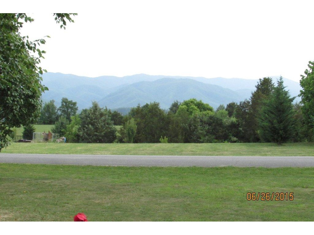 885 Keller Road Afton, TN 37616 - Photo 3 of 20 View from Front Porch
