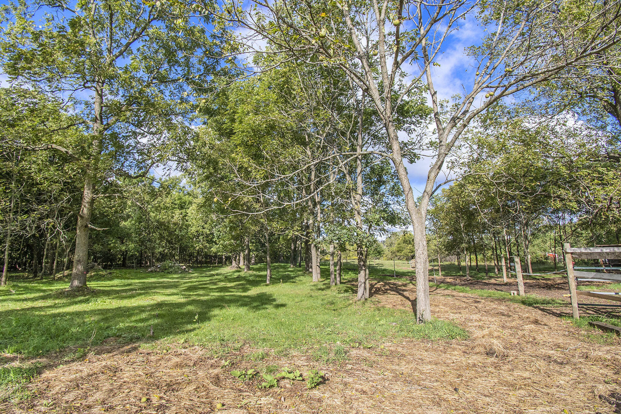 3986 Haynes Road Stockbridge, MI 49285 - Photo 29 of 35 Pasture - Semi Wooded Area
