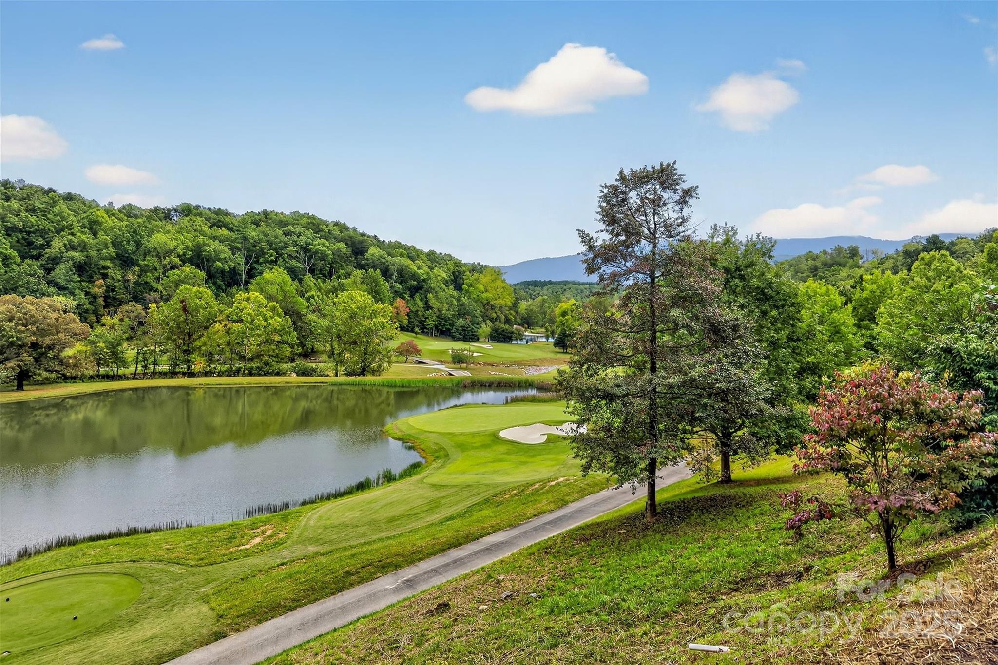 305 Clubhouse, Unit B102 Mill Spring, NC 28756 - Photo 34 of 48