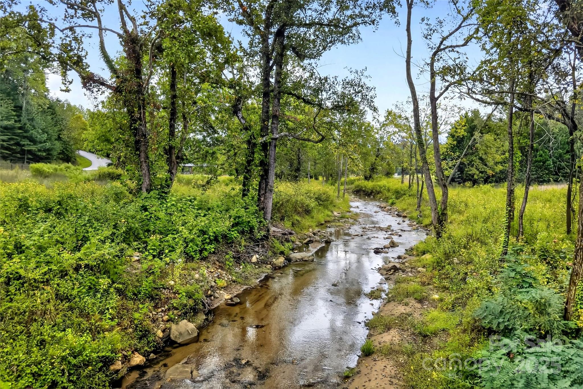 305 Clubhouse, Unit B102 Mill Spring, NC 28756 - Photo 45 of 48