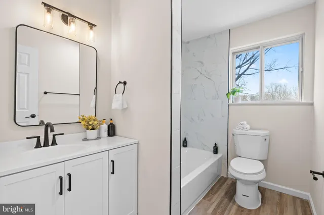 a bathroom with a sink a toilet and a bathtub