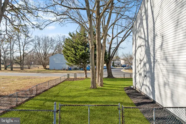 a view of a yard with flower plants