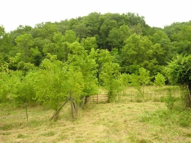 42 Johnson Heights Road West Hamlin, WV 25571 - Photo 16 of 32 Gallery Image 16