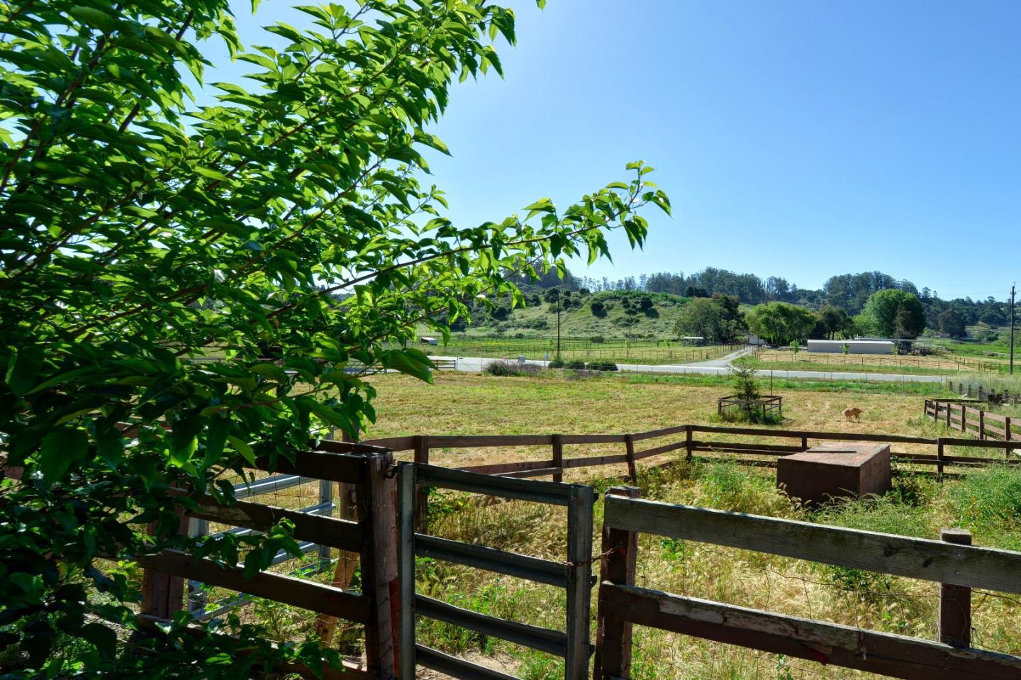 17545 Cross Road Salinas, CA 93907 - Photo 4 of 30 Gallery Image 4