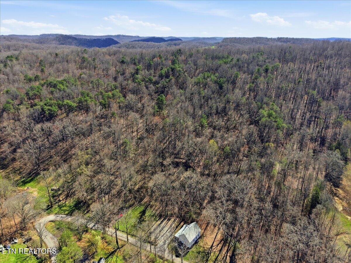 180 Hill Road Heiskell, TN 37754 - Photo 2 of 18 03-001_DJI_20260317153523_0101_D