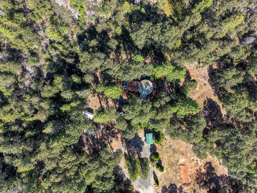 17008 Bloomfield Ridge Place Nevada City, CA 95959 - Photo 50 of 52