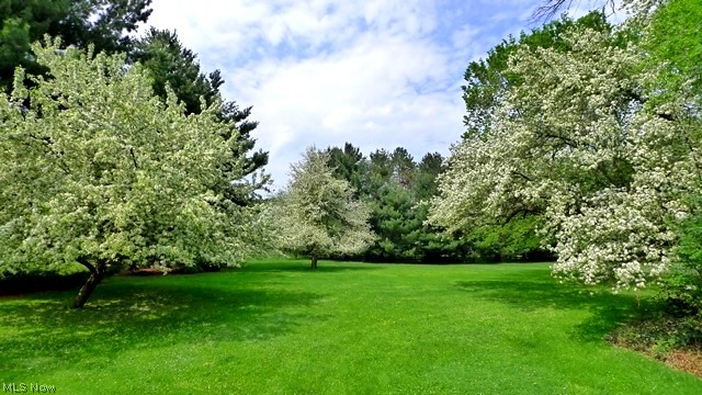 9367 Smith Road Willoughby, OH 44094 - Photo 25 of 25 Gallery Image 25