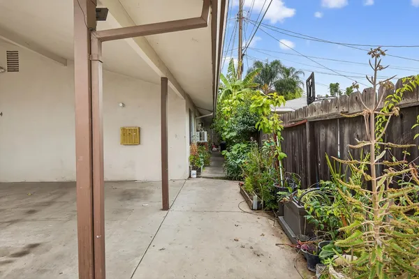 a potted plant sitting in front of a door