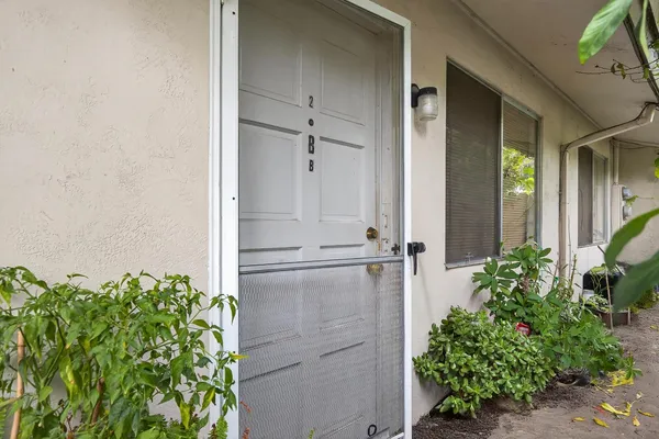 a couple of flower plants in front of door