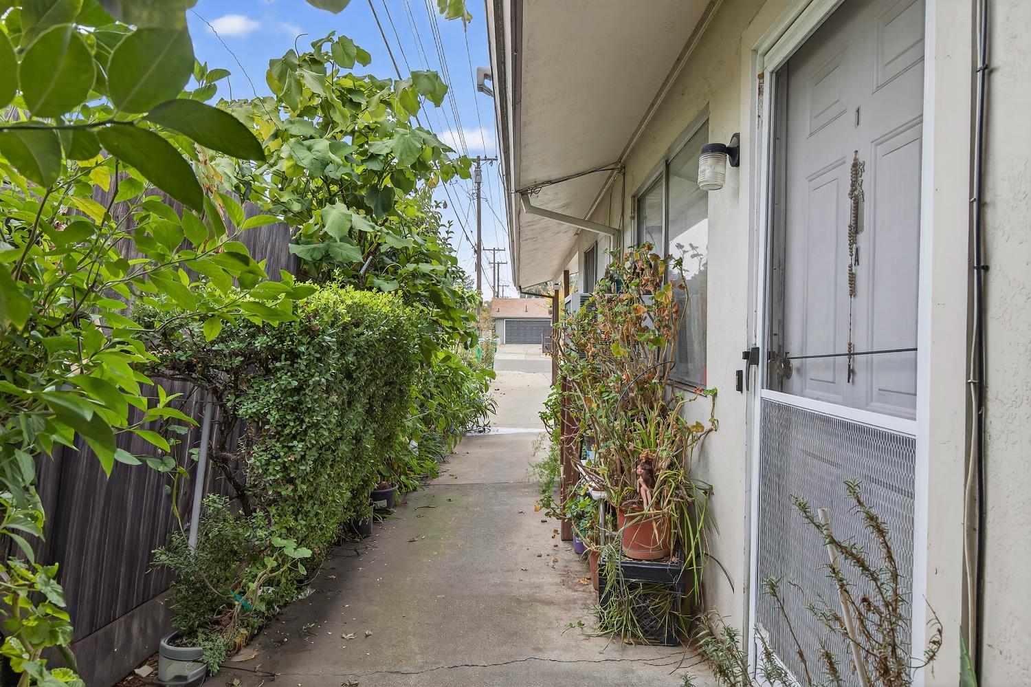 834 South Washington Street Lodi, CA 95240 - Photo 19 of 42 a couple of flower plants in front of door