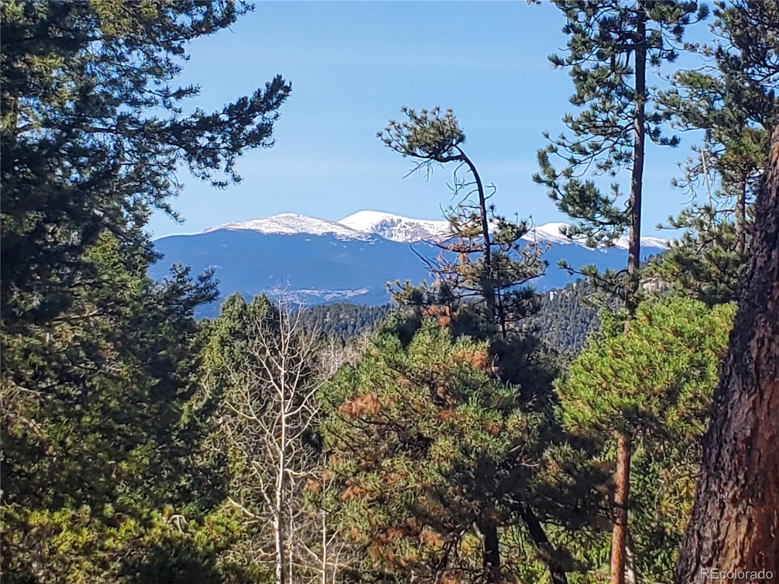 Richmond Hill Road Conifer, CO 80433 - Photo 1 of 11 Gallery Image 1