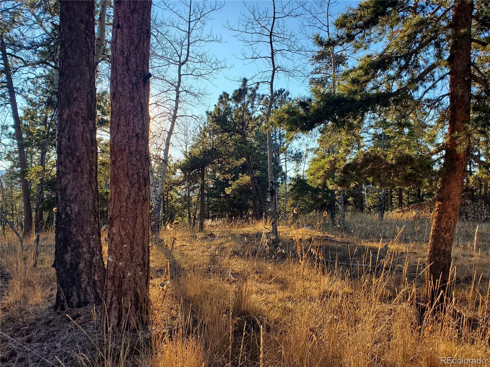 Richmond Hill Road Conifer, CO 80433 - Photo 11 of 11 Gallery Image 11