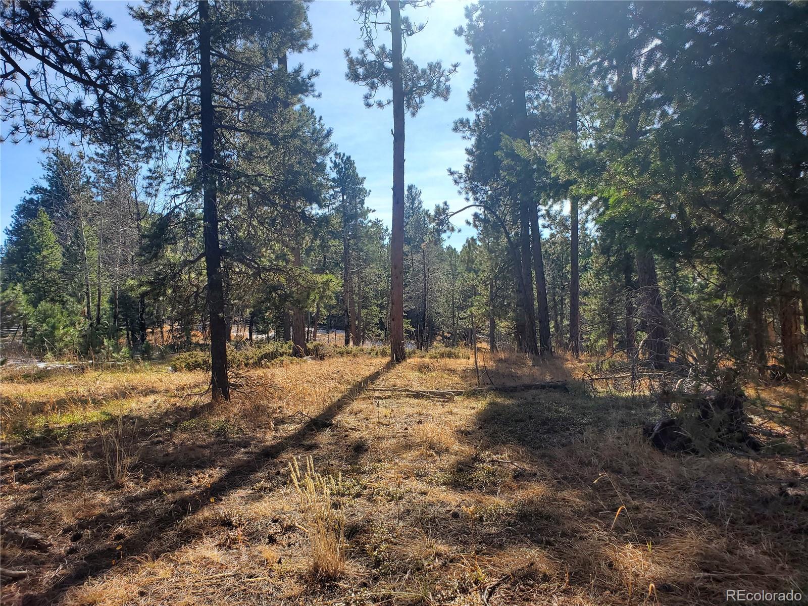 Richmond Hill Road Conifer, CO 80433 - Photo 4 of 11 Gallery Image 4