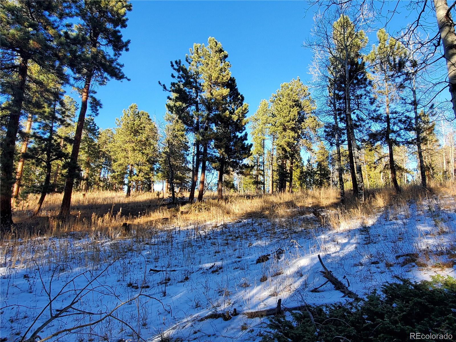 Richmond Hill Road Conifer, CO 80433 - Photo 7 of 11 Gallery Image 7