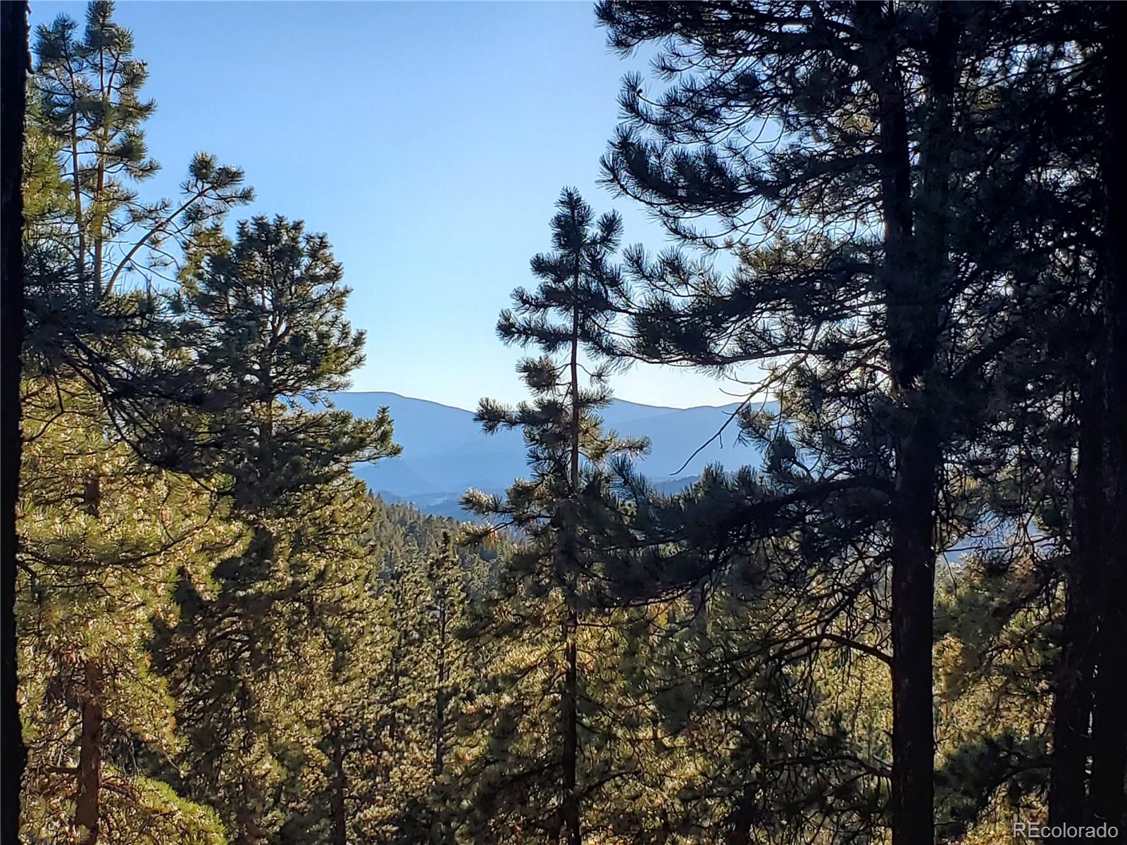 Richmond Hill Road Conifer, CO 80433 - Photo 8 of 11 Gallery Image 8