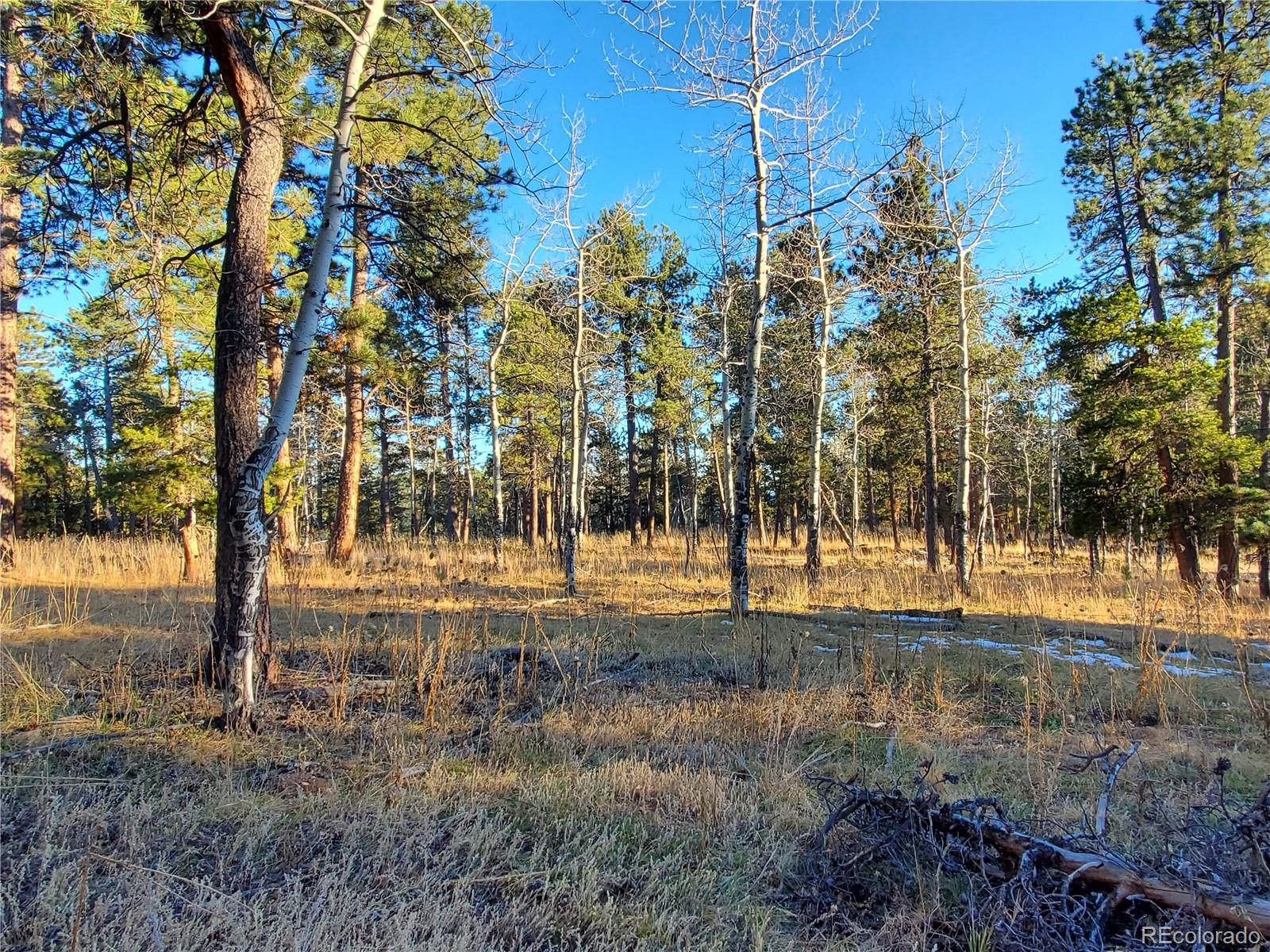 Richmond Hill Road Conifer, CO 80433 - Photo 9 of 11 Gallery Image 9