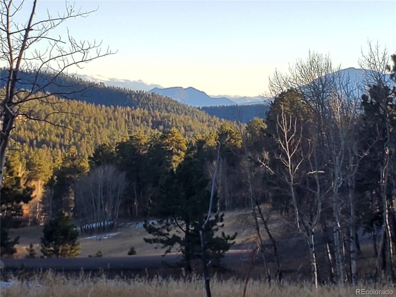 Richmond Hill Road Conifer, CO 80433 - Photo 10 of 11 Gallery Image 10