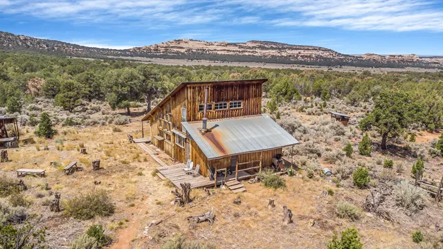 a view of a city with lush green forest