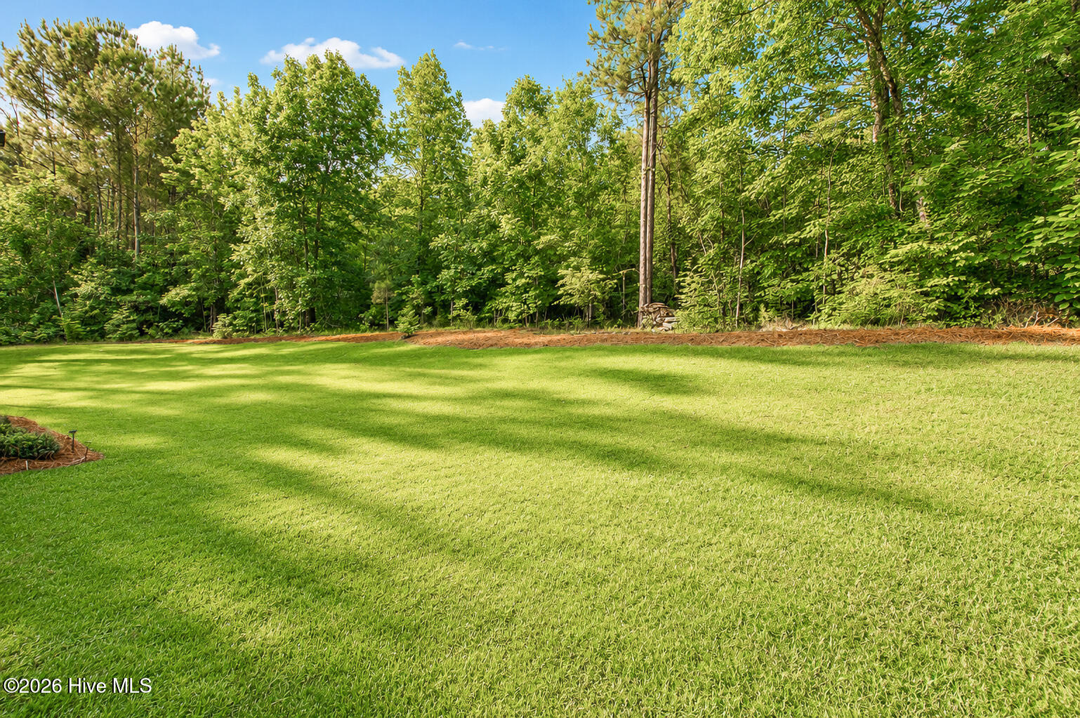 846 Briggs Road North Augusta, SC 29860 - Photo 34 of 58 Backyard!