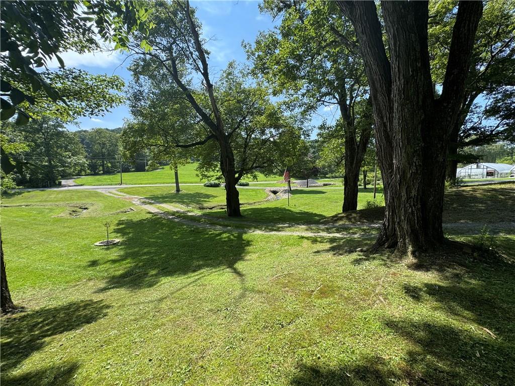 375 Browns Hill Road Valencia, PA 16059 - Photo 12 of 22 a view of a yard with a tree
