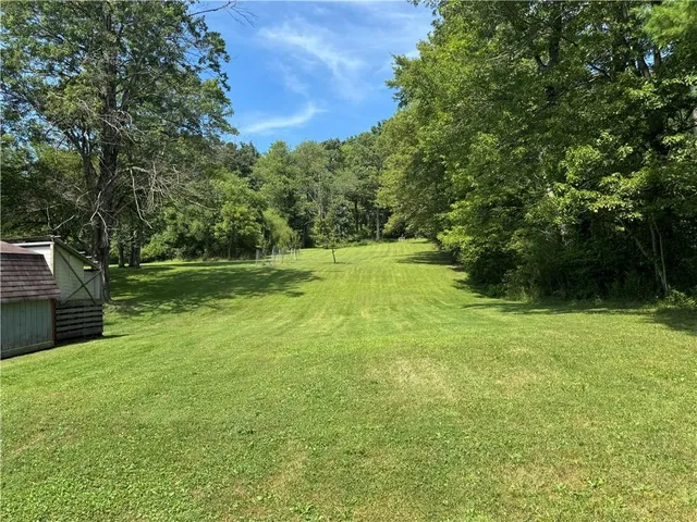 a view of a field with a tree