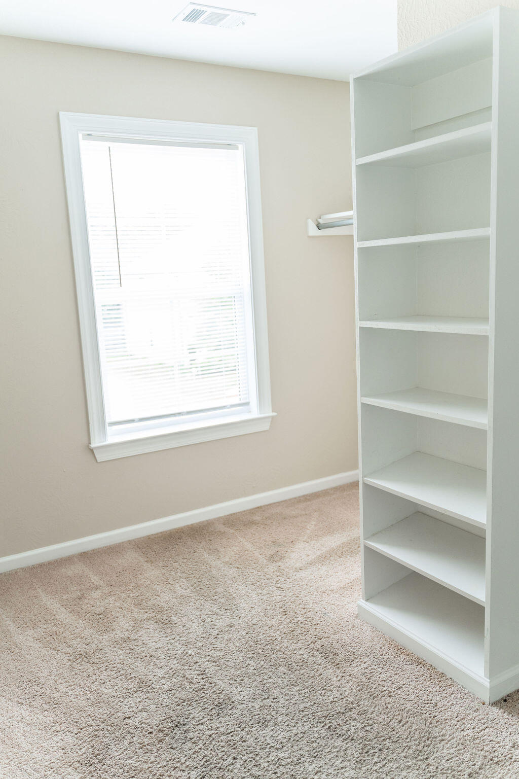 439 Sebastian Drive Grovetown, GA 30813 - Photo 32 of 34 Primary Closet 2