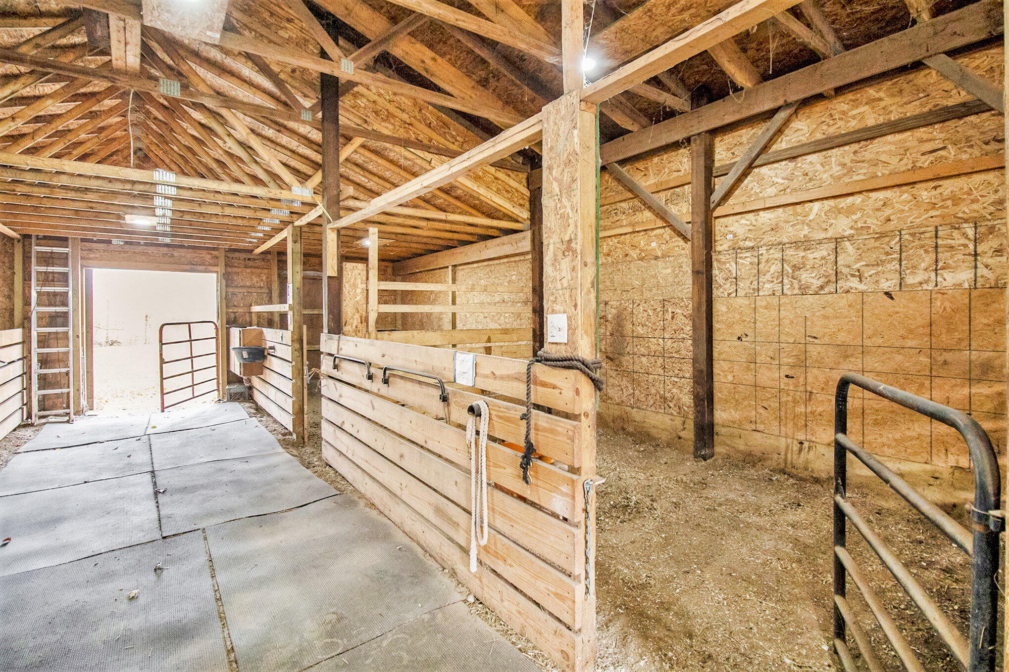 2989 Budd Road Stockbridge, MI 49285 - Photo 31 of 48 031_img_9663_132