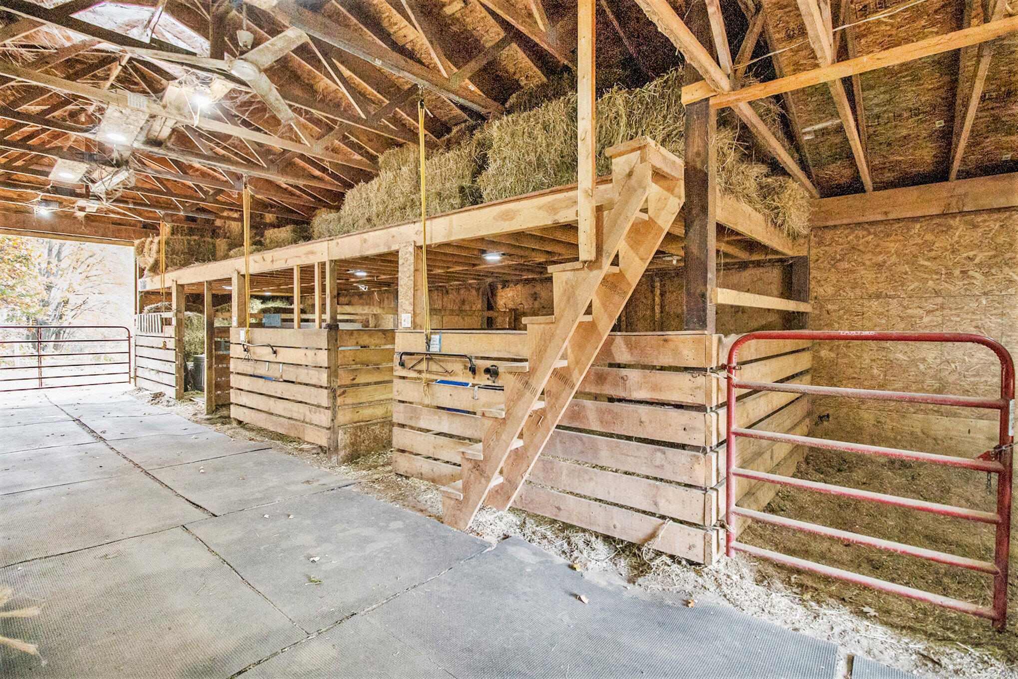 2989 Budd Road Stockbridge, MI 49285 - Photo 32 of 48 032_img_9664_35