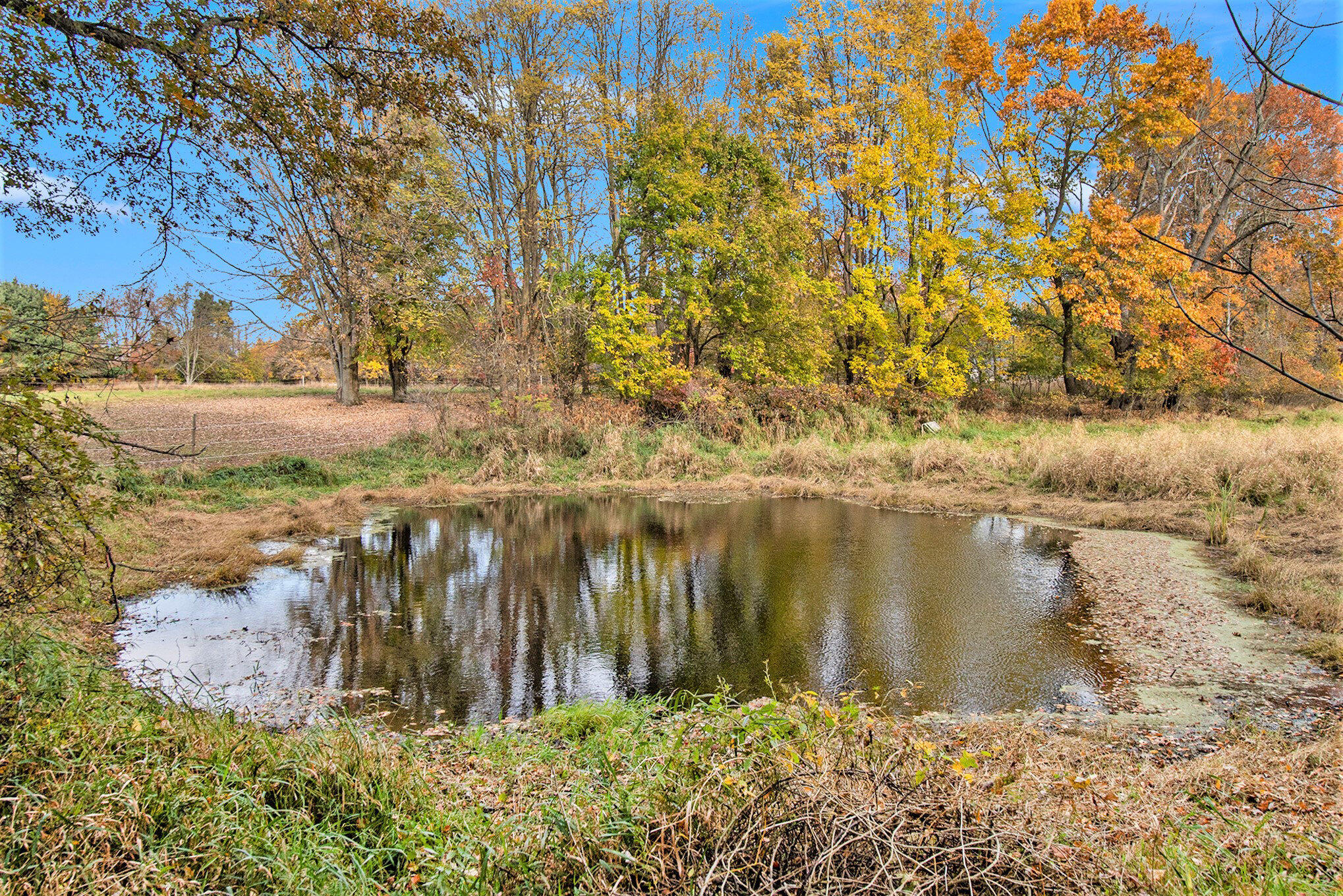 2989 Budd Road Stockbridge, MI 49285 - Photo 42 of 48 043_img_9676_304