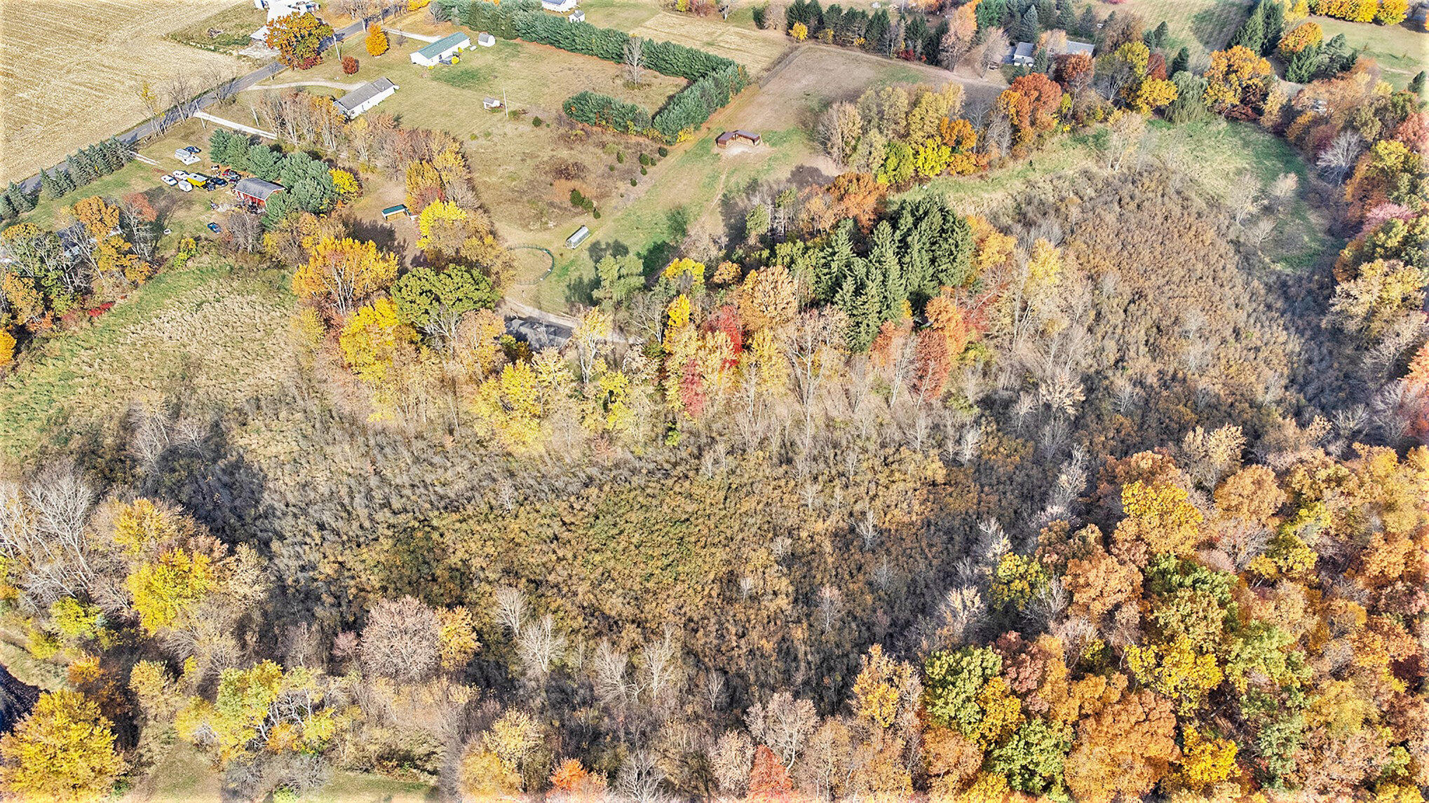 2989 Budd Road Stockbridge, MI 49285 - Photo 43 of 48 044_dji_0341_941