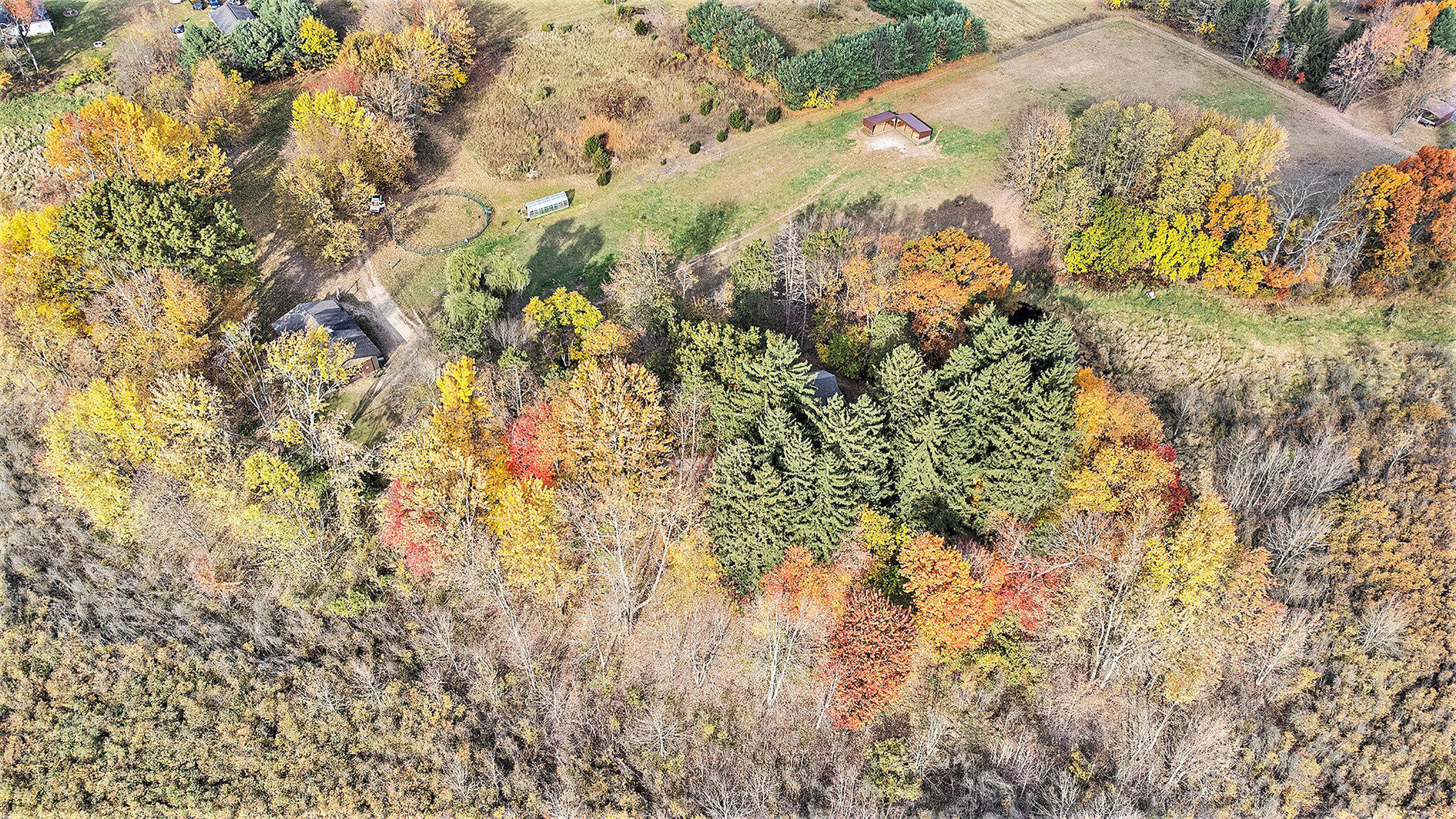 2989 Budd Road Stockbridge, MI 49285 - Photo 44 of 48 045_dji_0345_537