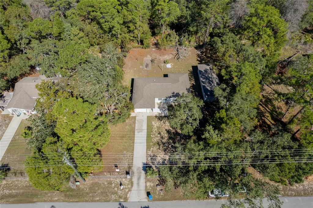 6447 Brandy Drive Spring Hill, FL 34607 - Photo 25 of 25