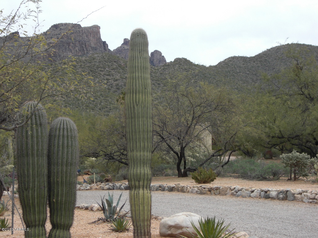 9346 East Ravine Trail Tucson, AZ 85749 - Photo 12 of 14 Gallery Image 12