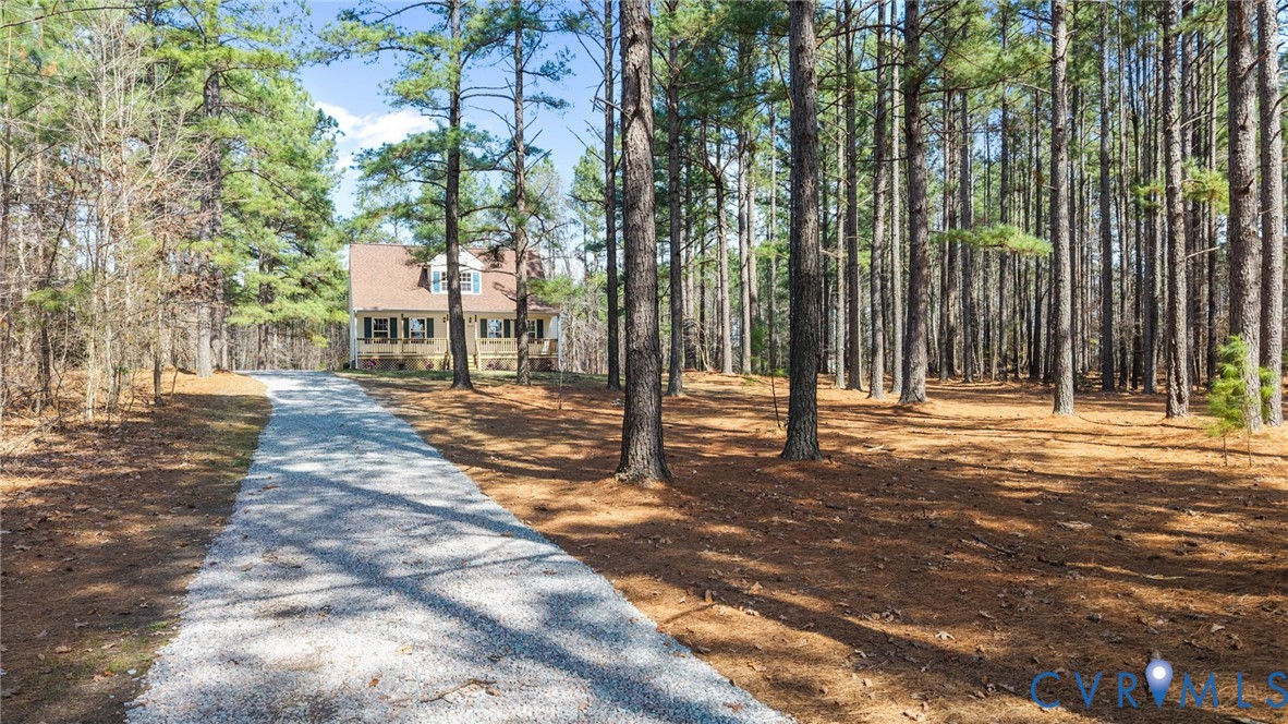 14624 Wilkinson Road Dewitt, VA 23840 - Photo 2 of 47 a view of street with trees