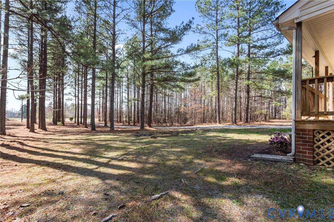 14624 Wilkinson Road Dewitt, VA 23840 - Photo 32 of 47 a view of outdoor space and yard