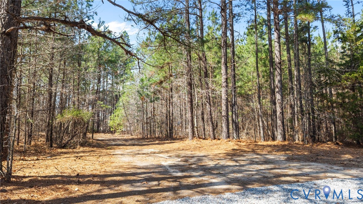 14624 Wilkinson Road Dewitt, VA 23840 - Photo 39 of 47 a view of outdoor space with trees