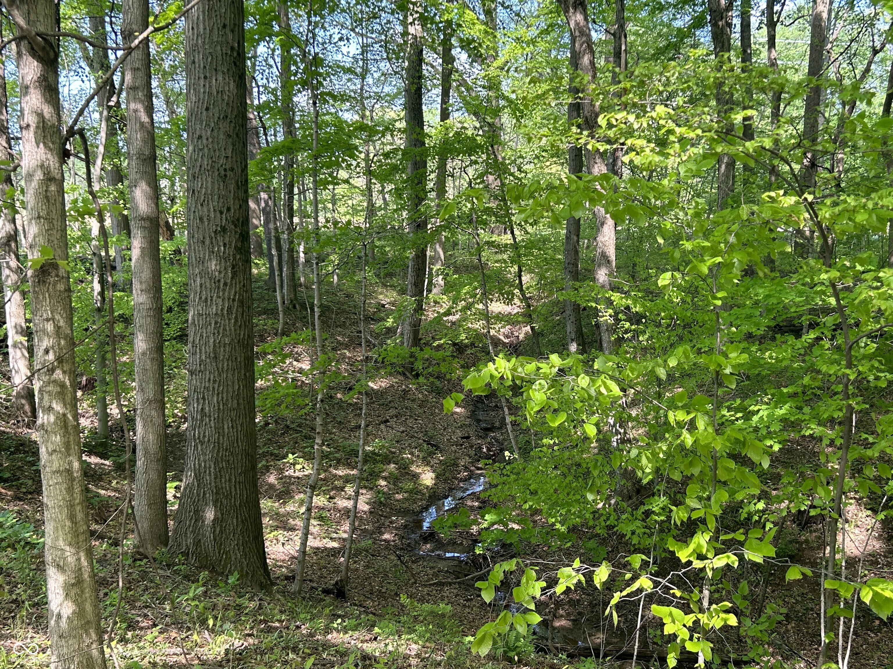 0 North Briarhopper Road Monrovia, IN 46157 - Photo 13 of 16 Gallery Image 13