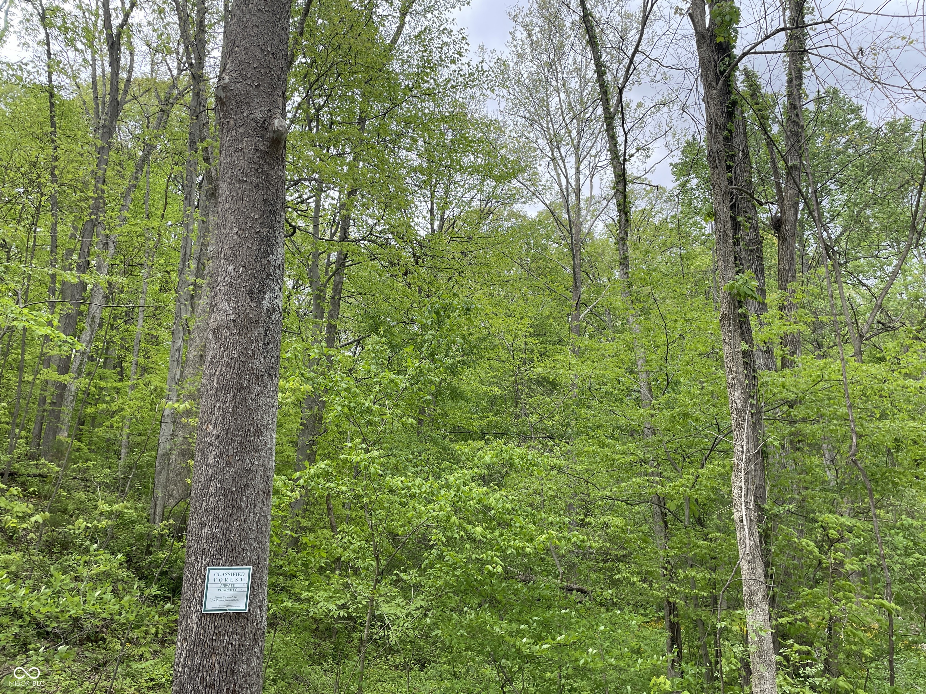 0 North Briarhopper Road Monrovia, IN 46157 - Photo 2 of 16 Gallery Image 2