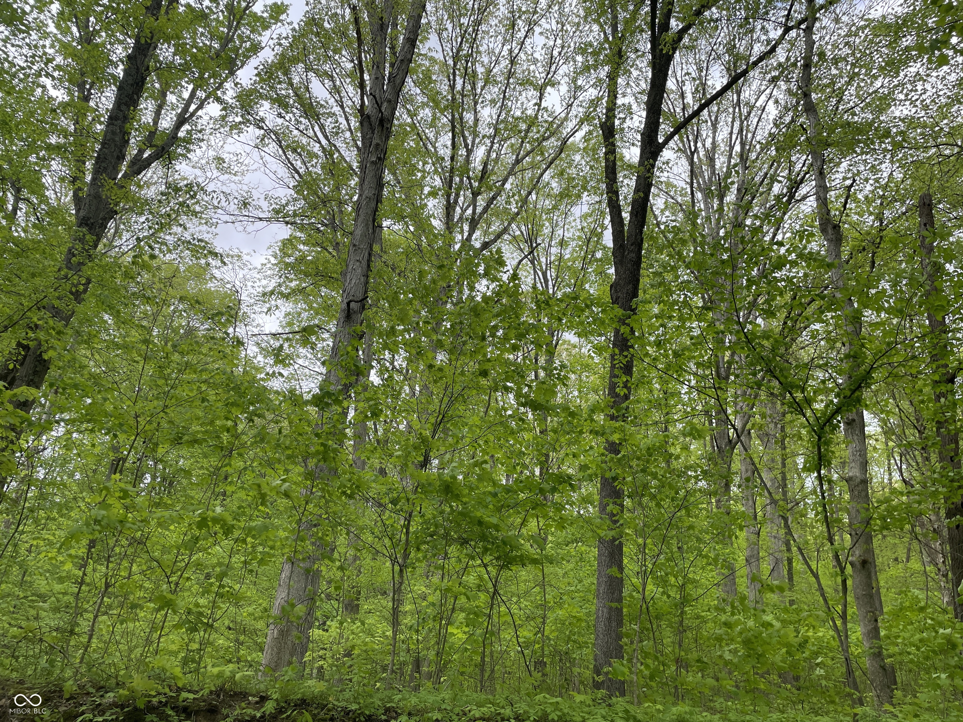0 North Briarhopper Road Monrovia, IN 46157 - Photo 3 of 16 Gallery Image 3