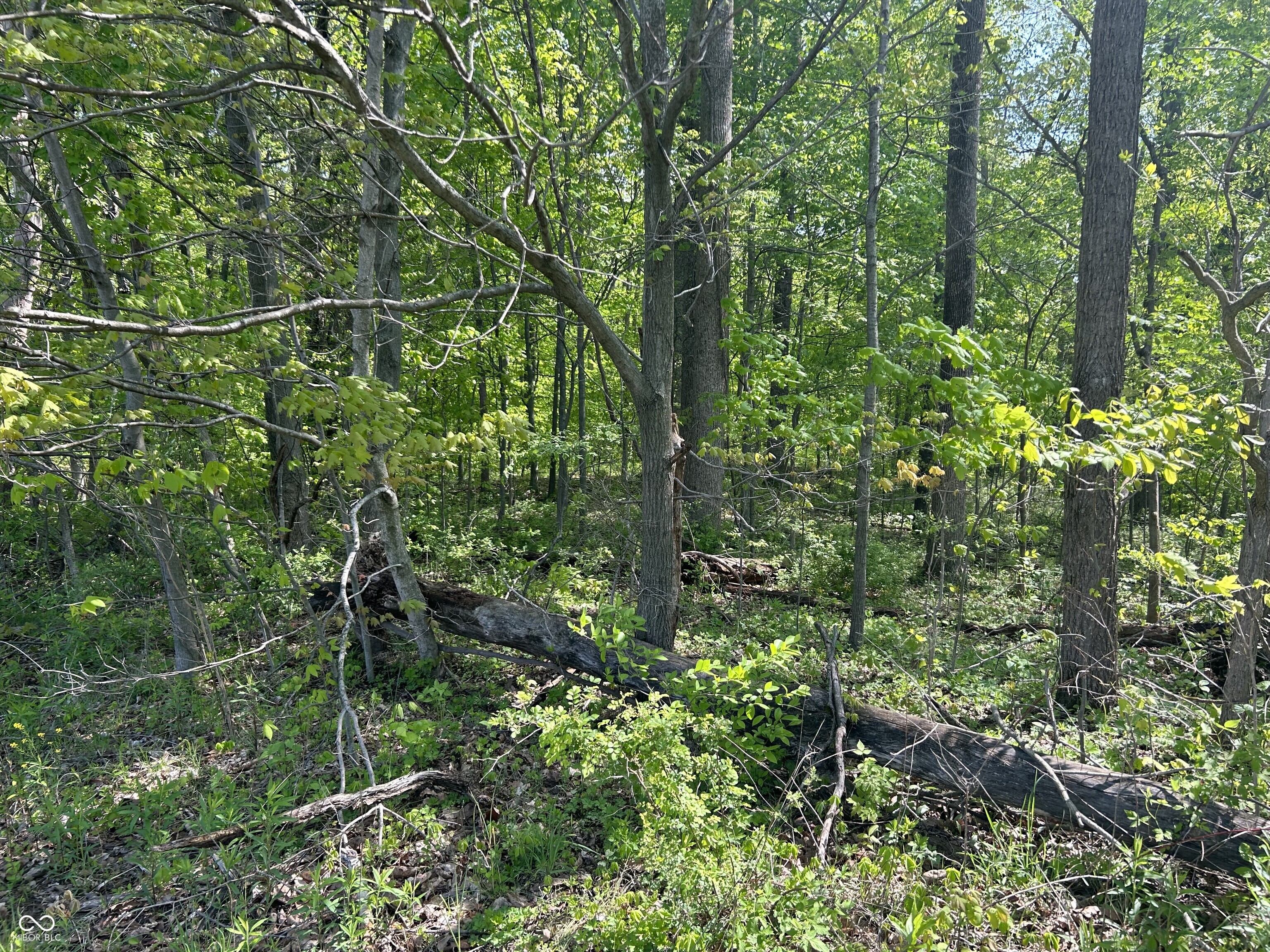 0 North Briarhopper Road Monrovia, IN 46157 - Photo 10 of 16 Gallery Image 10