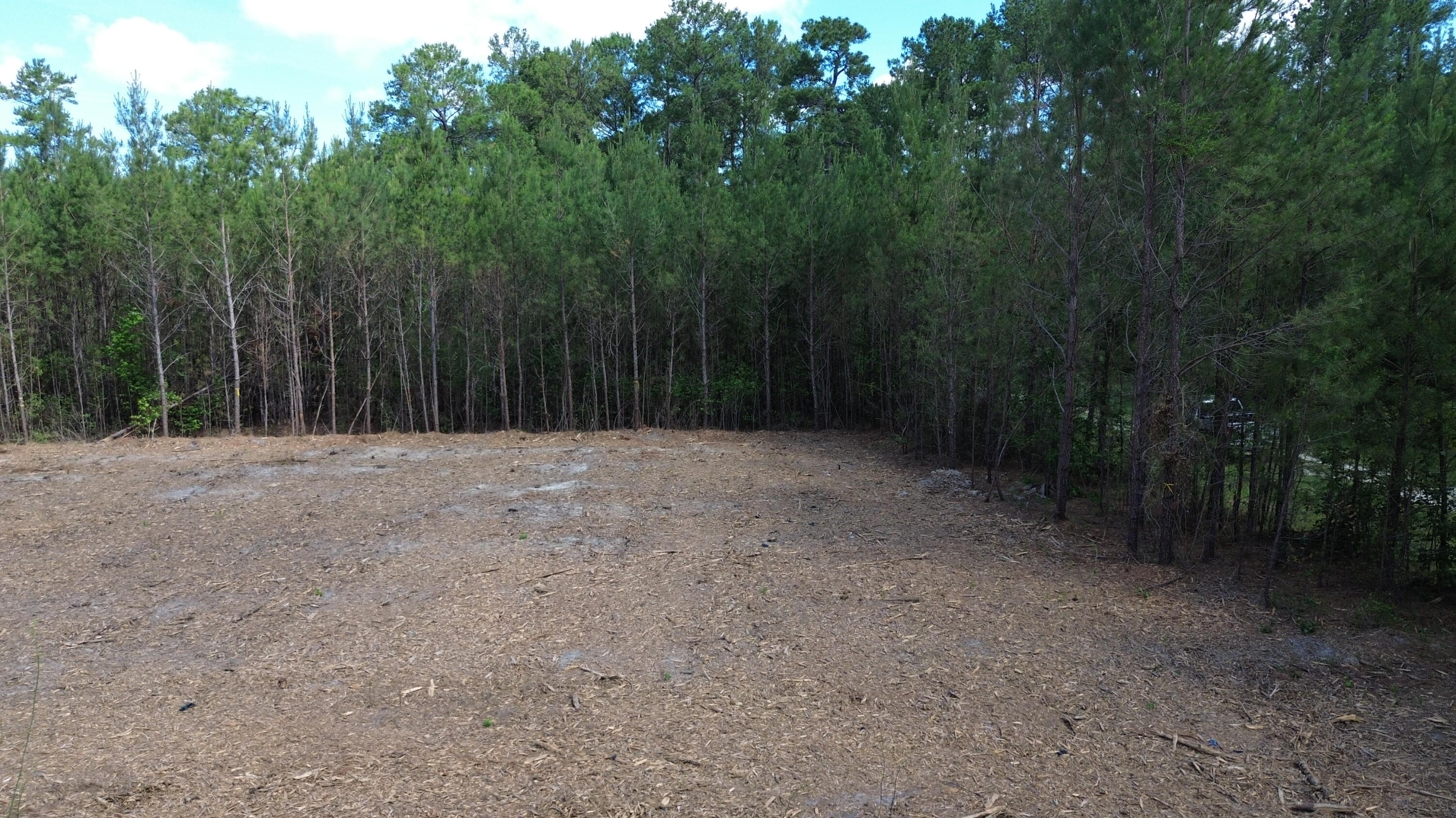 4 Highway 311 Cross, SC 29436 - Photo 9 of 11 DJI_0416