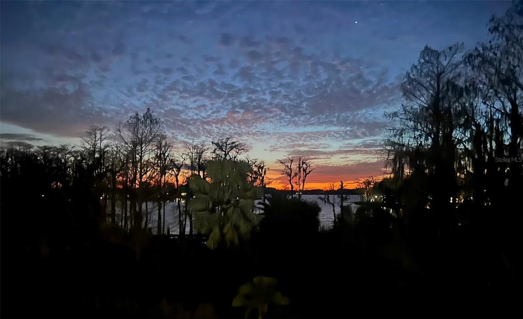 6206 Masters Boulevard, Unit 302 Orlando, FL 32819 - Photo 30 of 32 a view of a city of water with lots of trees