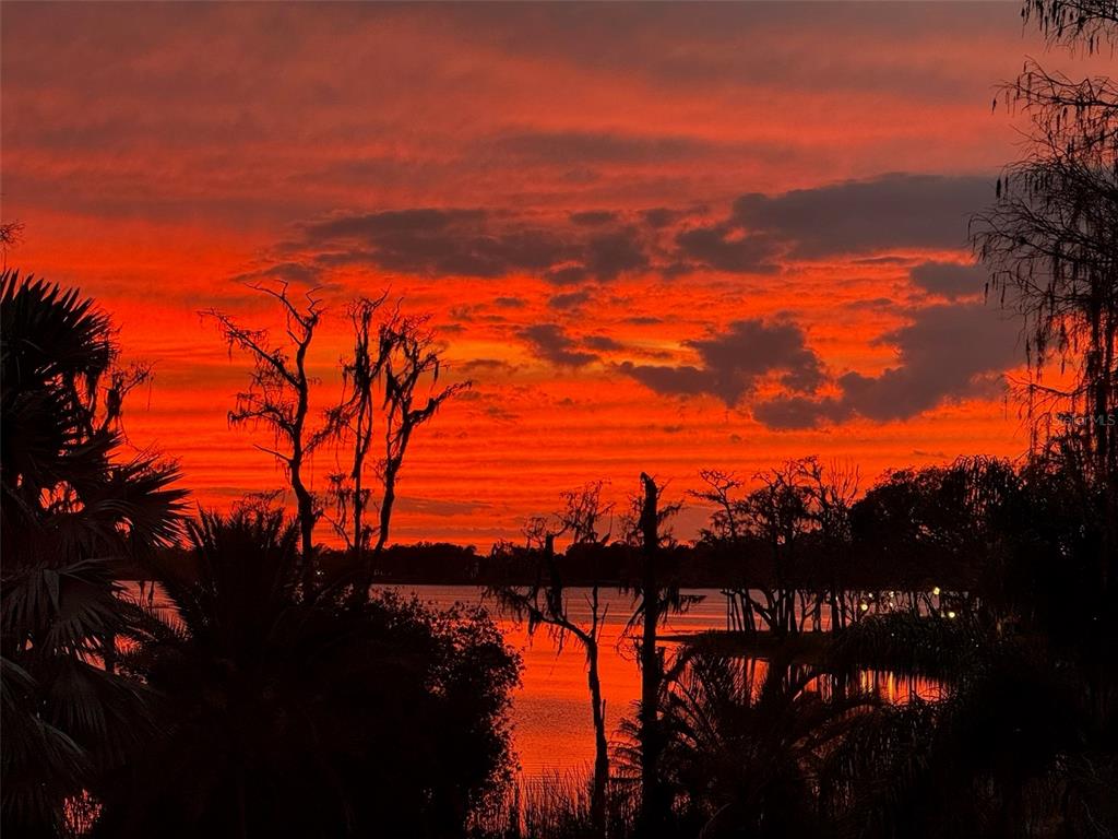 6206 Masters Boulevard, Unit 302 Orlando, FL 32819 - Photo 31 of 32 a view of sunset