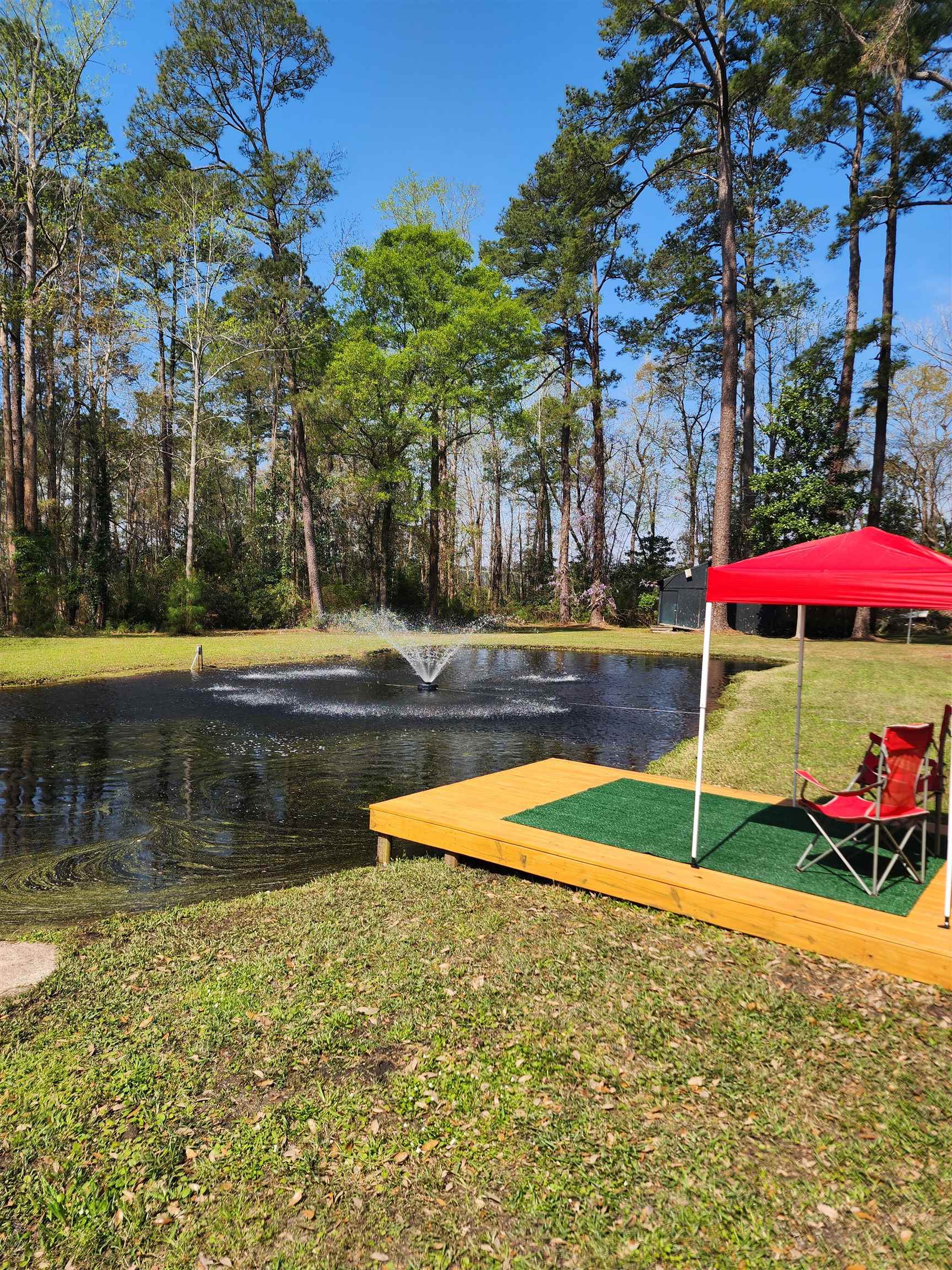 7430 Highway 701 Conway, SC 29527 - Photo 47 of 57