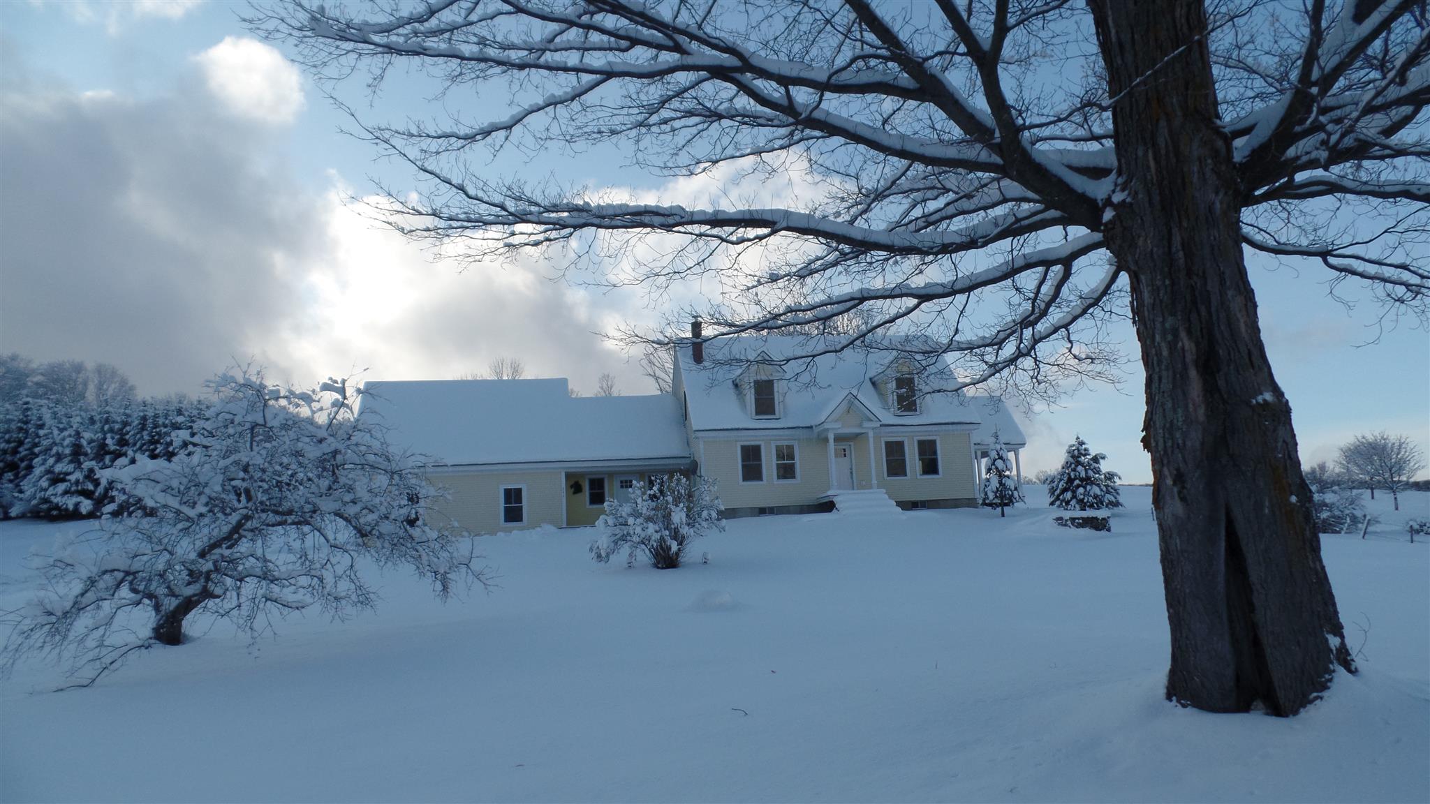246 Phelps Road Barre Town, VT 05641 - Photo 1 of 40