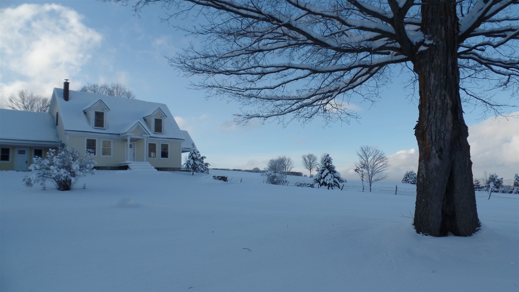 246 Phelps Road Barre Town, VT 05641 - Photo 36 of 40