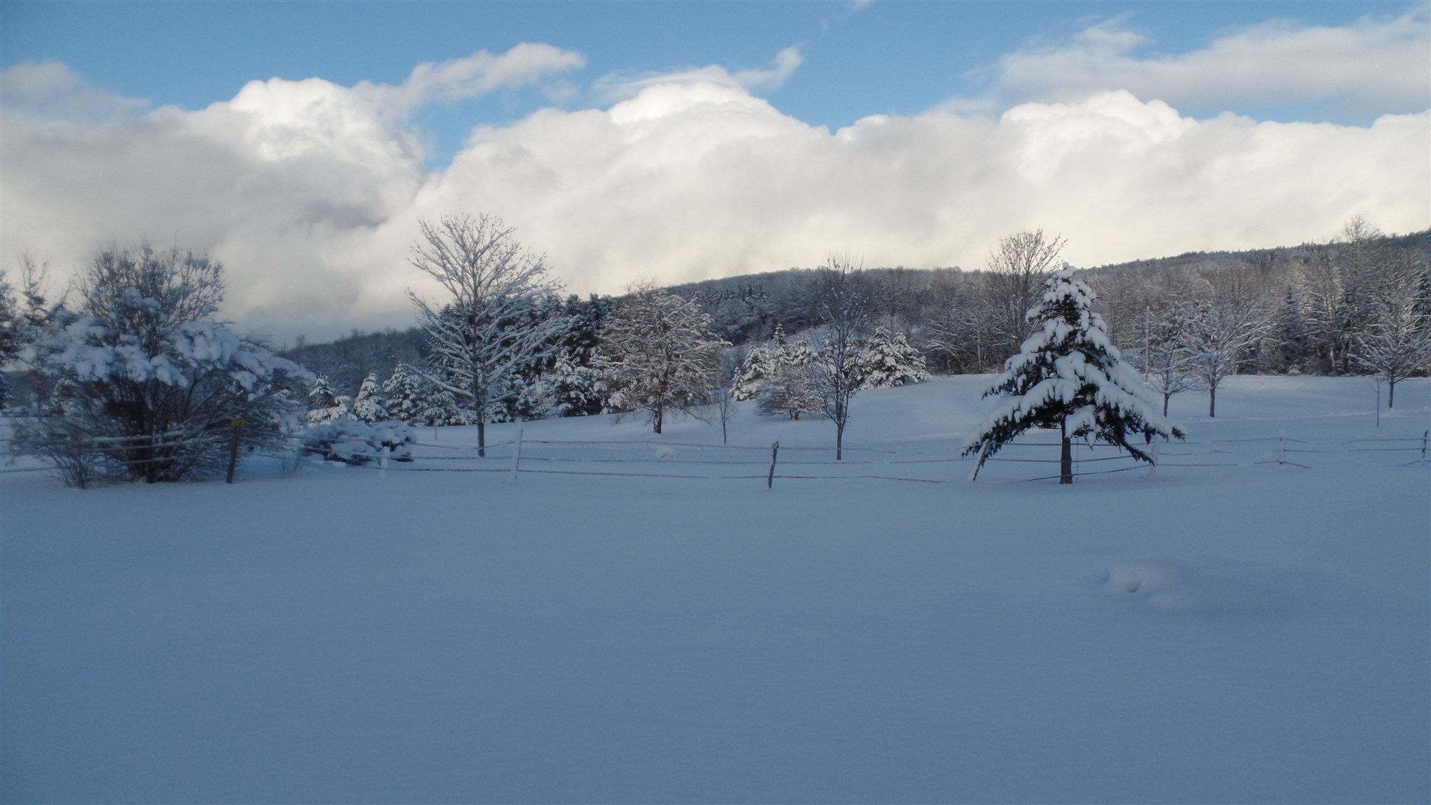 246 Phelps Road Barre Town, VT 05641 - Photo 39 of 40